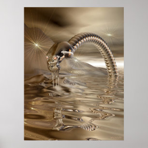 Affiche Lightcatcher