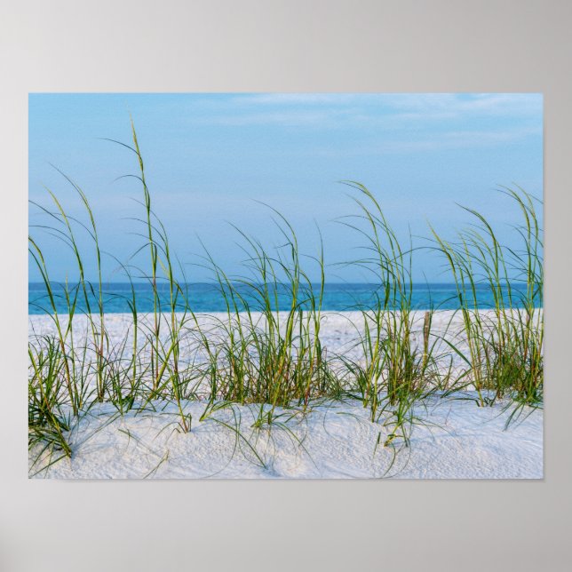 Affiche Ligne D'Aiguilles De Mer En Sable Blanc (Devant)