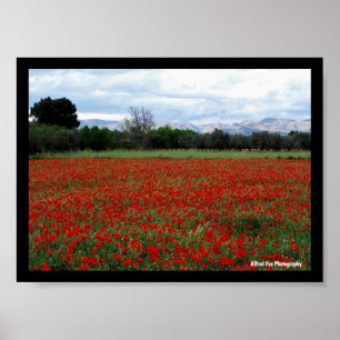 Affiche Ligne d'arbres dans un champ de coquelicots