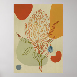 Affiche Ligne Protea Abstrait Formes botaniques tendance