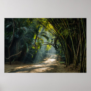 Affiche Lignes de Bambou