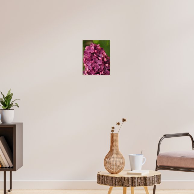 Affiche Lilac commun (Salon 3)