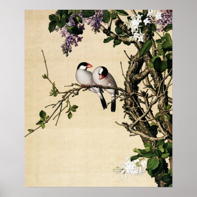 Affiche Lilac et White Syringa Art (Devant)