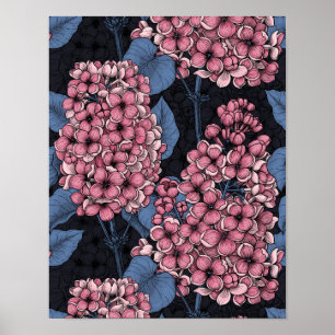 Affiche Lilac rose sur bleu foncé