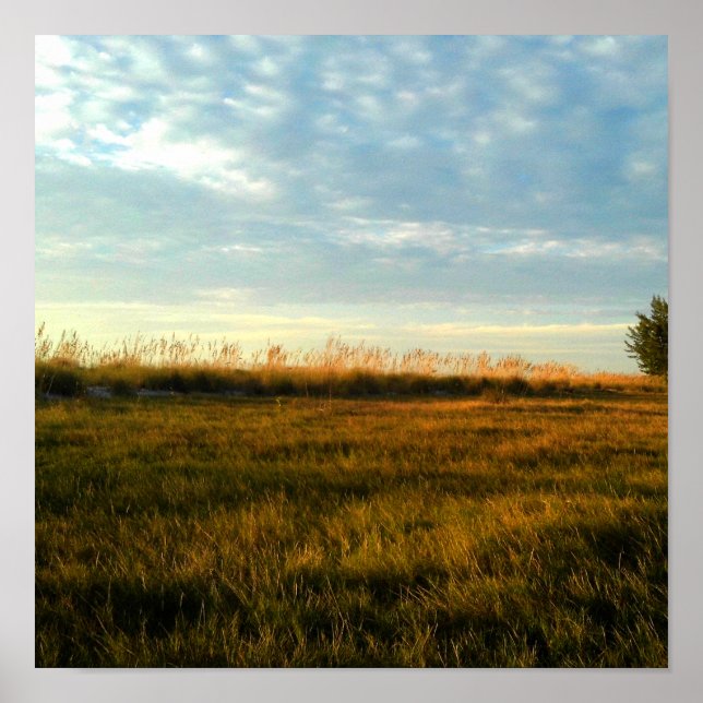 Affiche L'île (Devant)