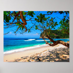 Affiche L'île des Maldives par magasin.