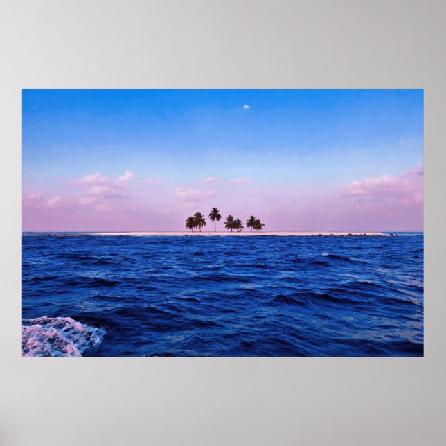 Affiche L'île Lone (Devant)