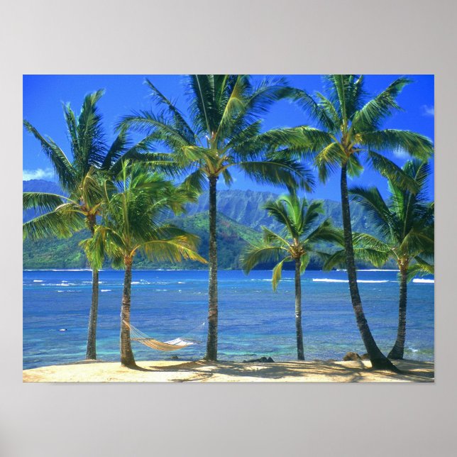 Affiche L'île tropicale (A vibrant, full shot captures a tropical beach scene under a clear blue sky.)