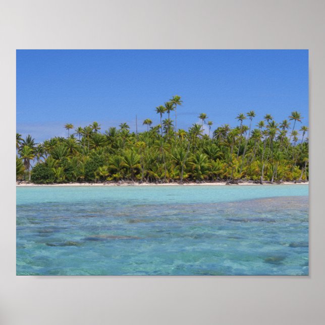 Affiche L'île tropicale de Rangiroa (Devant)