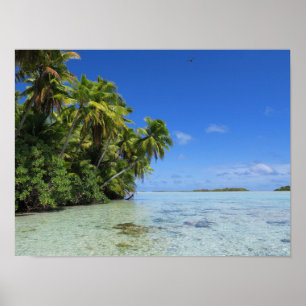 Affiche L'île tropicale de Rangiroa