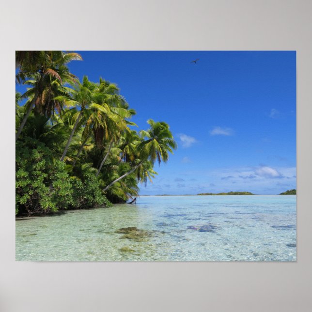 Affiche L'île tropicale de Rangiroa (Devant)