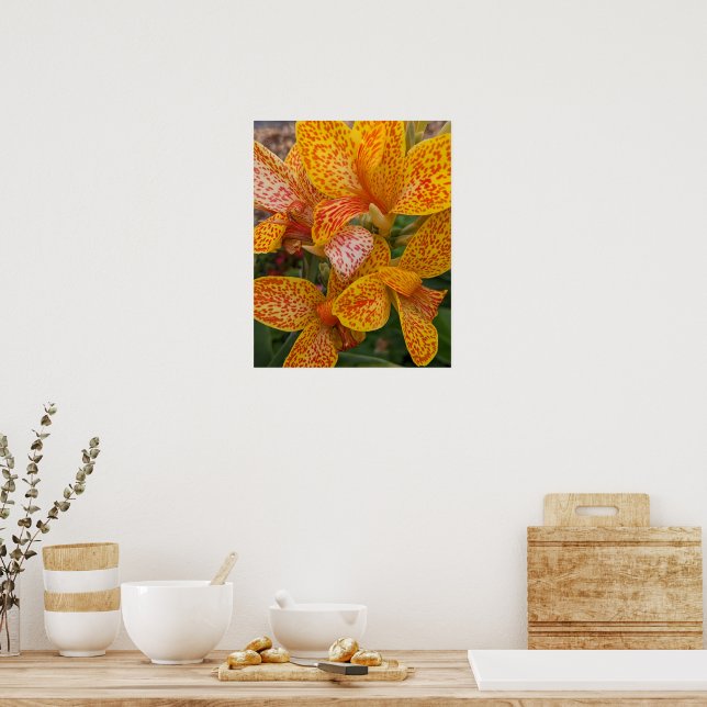 Affiche Lilium Canna Jaune avec Fleurs à Taches Rouges (Cuisine)