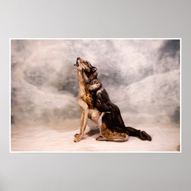 Affiche L'Illusion du loup (Devant)