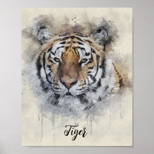 Affiche L'illustration de l'aquarelle Tiger Look