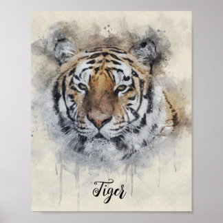 Affiche L'illustration de l'aquarelle Tiger Look