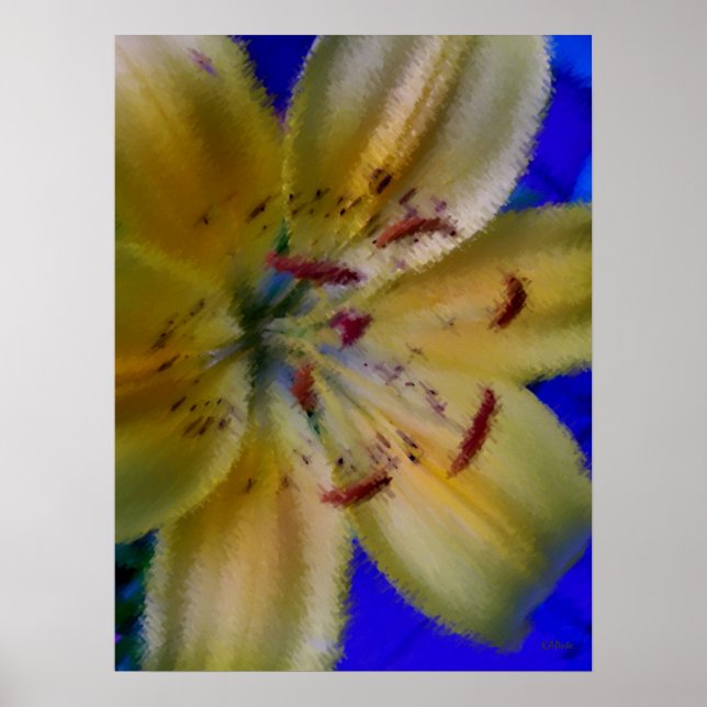 Affiche Lilly Lillies Fleurs Photographie (Devant)