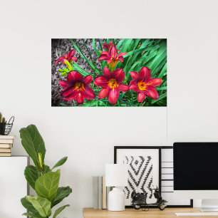 Affiche Lily,