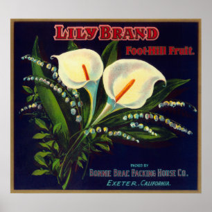 Affiche Lily Orange LabelExeter, CA