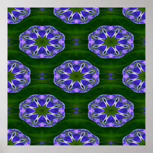 Affiche Lily pad étoiles....