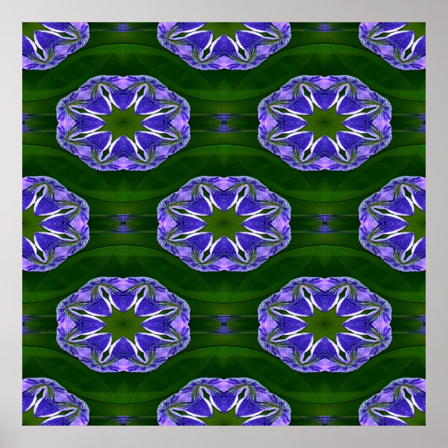 Affiche Lily pad étoiles.... (Devant)