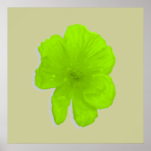 Affiche Lime électrique / Fleur PopArt