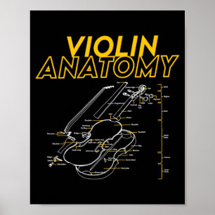 Affiche Limite de diagramme de dessin d'anatomie de violon