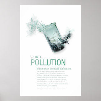 Affiche Limiter la pollution : principes de durabilité Aff