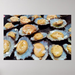 Affiche Limpets "lapas" des Açores