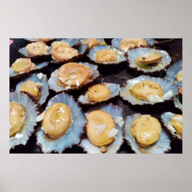 Affiche Limpets "lapas" des Açores (Devant)
