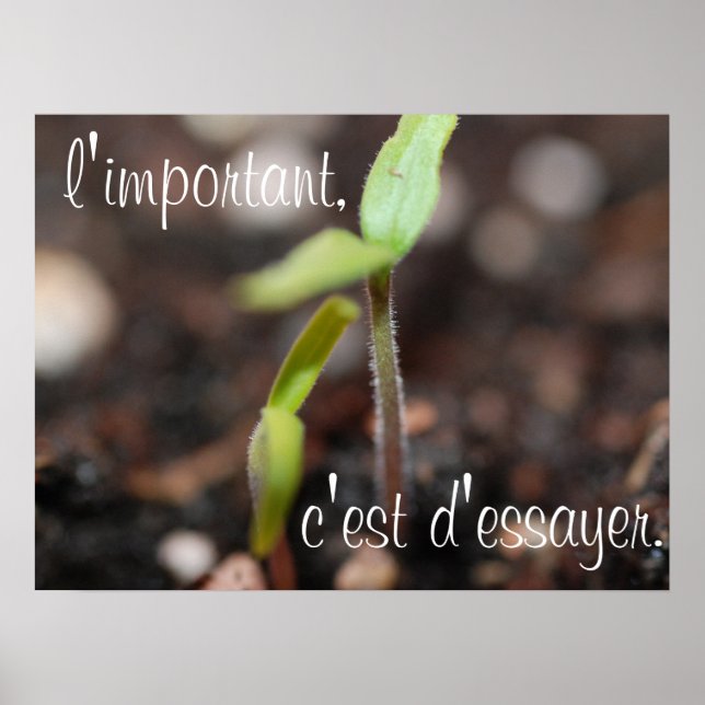 Affiche L'important est d'essayer l'affiche motivationnell (Devant)