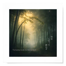 L'impression de sagesse japonaise - Le bambou se p