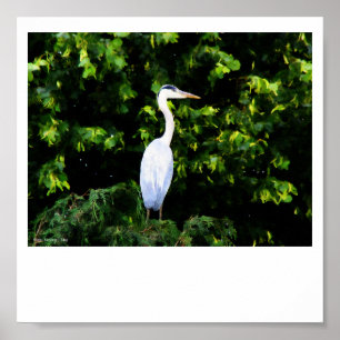 Affiche L'impression d'oiseaux blancs