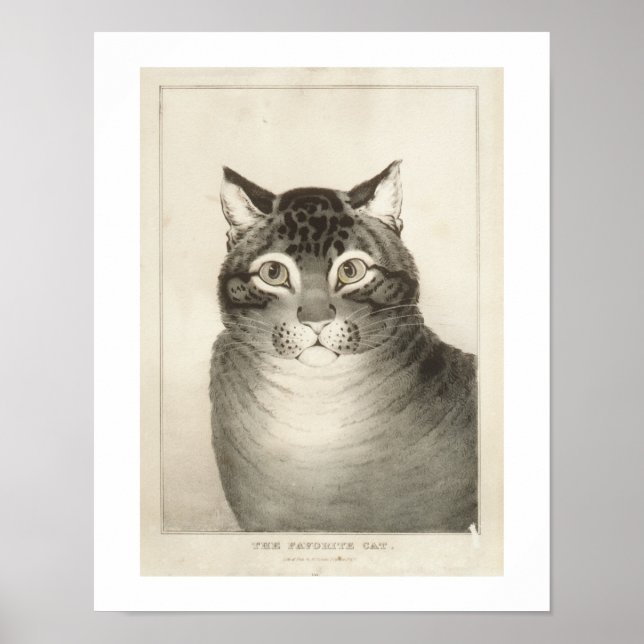 Affiche L'impression Vintage Favorite Chat (Devant)