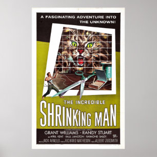 Affiche L'incroyable rétrécissement de l'homme