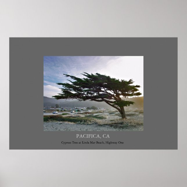 Affiche Linda Mar Cypress (Devant)