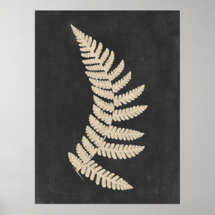 Affiche Linen Fern