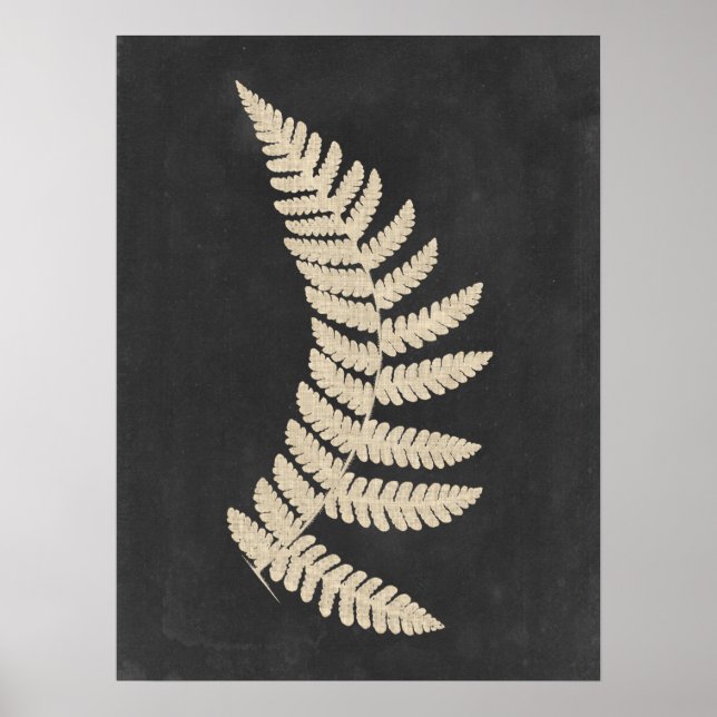 Affiche Linen Fern (Devant)