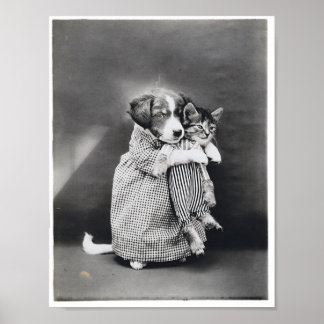 Affiche L'Infirmière Chaton Chaton Harry Whittier Libère 1