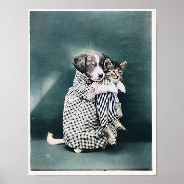 Affiche L'Infirmière S'Occuper Du Chiot Pour Kitten 1914 C (Devant)