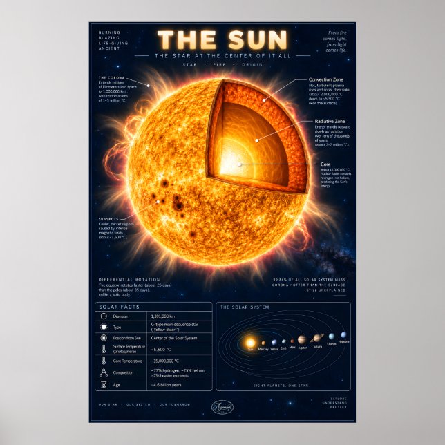 Affiche L'infographie scientifique de la section transvers (Devant)