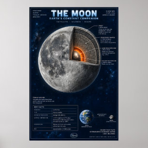 Affiche L'infographie scientifique en coupe transversale d