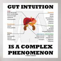L'Intuition De L'Otus Est Un Phénomène Complexe En