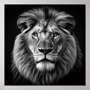 Affiche Lion