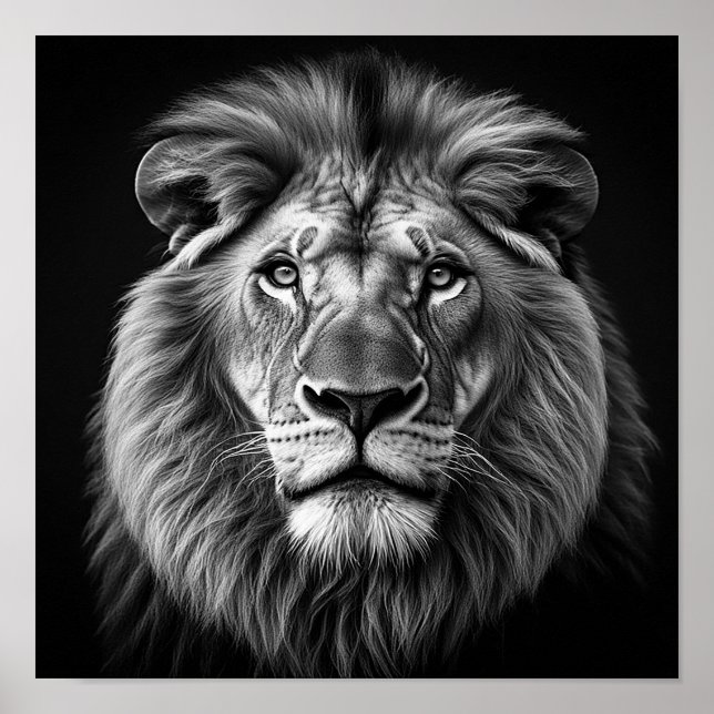 Affiche Lion (Devant)