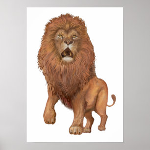 Affiche Lion