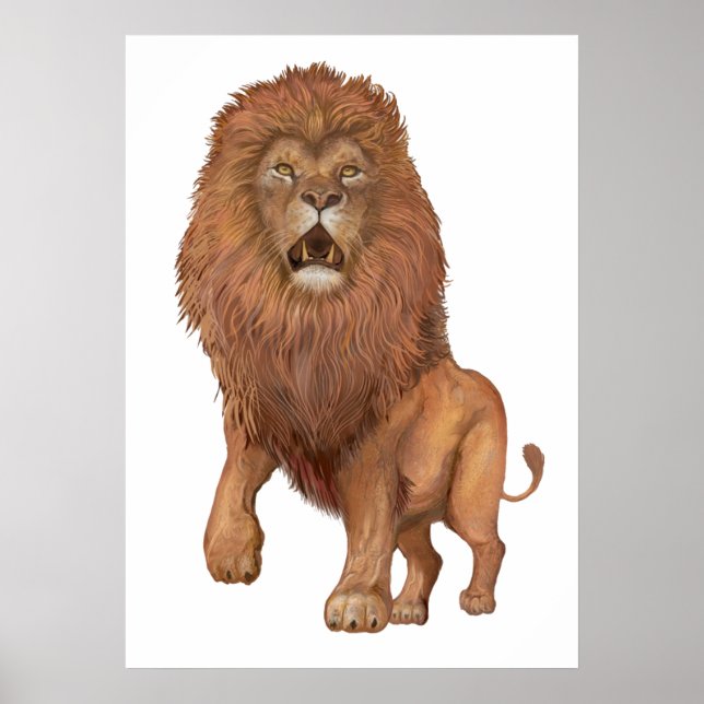 Affiche Lion (Devant)