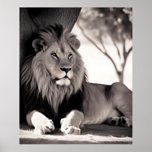 Affiche Lion africain majoritaire noir et blanc
