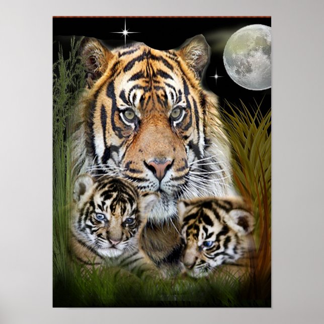 Affiche Lion and Cubs (Devant)
