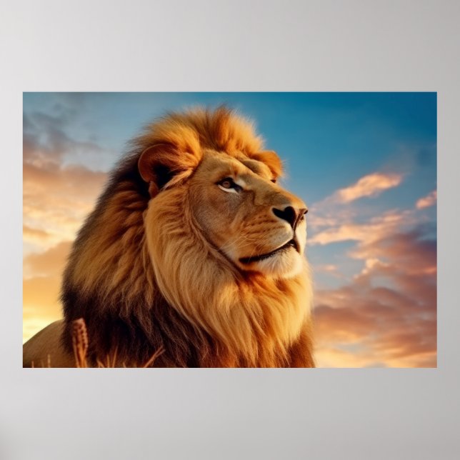Affiche Lion Animal Nature sauvage majestueuse (Devant)