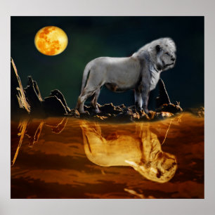 Affiche Lion blanc gardant la nuit